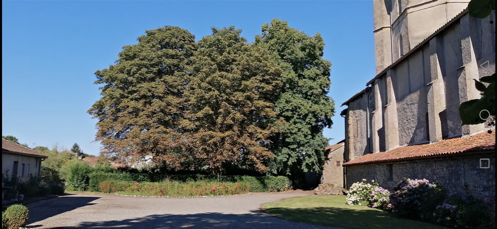 Aire camping-car  Maubourguet (65700) - Photo 4